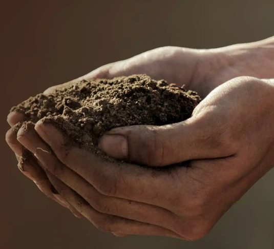 Save Soil Revolution